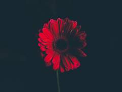 [M x Y] 정말 예전에 올렸던 창윤 단편집