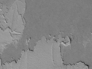 사랑이라는 이름 아래