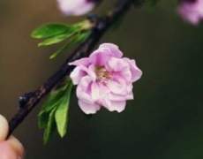 韓陽歌(한양가) 17화