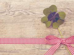 나의 첫 친구에게,