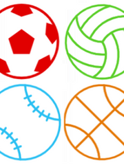 KBO & NBP & MLB & NBA & KOVO