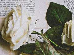 잊지말고 기억해.