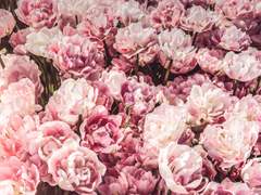 [고택] 눈치없는 사람에겐 한 방이 필요하다