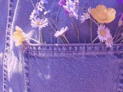 금연 권장 에쿠레이2