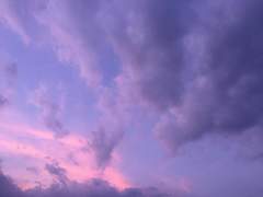 Arisiel S.Adelhardt_19