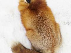 래퍼는 혀를 잘 쓰고 댄서는 허리를 잘 쓴데 근데 승관이는 노래를~