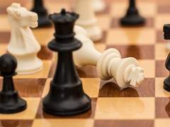 여기도 체크메이트네.