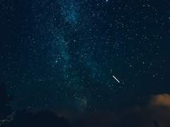 자캐문답-오지안