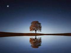 우리의 새벽은 낮보다 뜨겁다