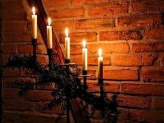 [알프아이]Firework