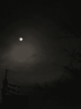 아파트 아포칼립스