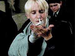 간사한 사자와 용맹한 뱀 5화