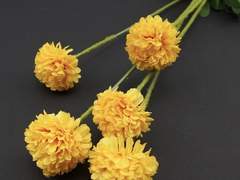 나의 造化 에게