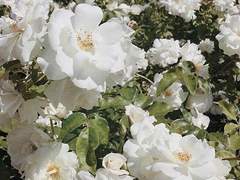 우연과 비참함의 상대성