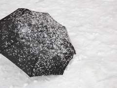 白雪 : snow white - 시작