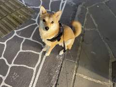 글 커미션 받는 중입니다!