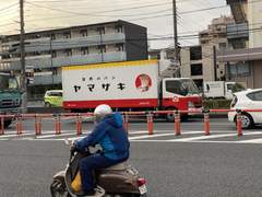 최근 찍은 사진들