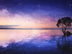 마치 흔한 소설의 한 조각처럼