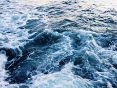 바다의 호흡 속에서