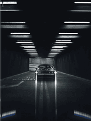 [BL] 투견판, 오버독