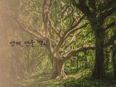 연계 (緣繫) _ 6~10