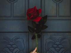 [우부] 장미의 이름으로 上