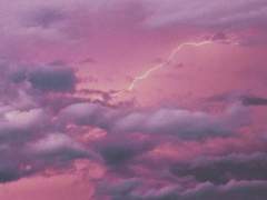 [남가미유] 남가일몽(南柯一夢)