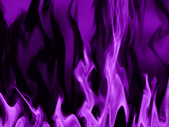 그걸 드디어 알았어요?