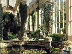 태양을 만난 하늘