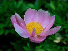 [택윤]비와 당신