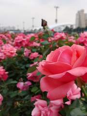 100일 위로 글쓰기