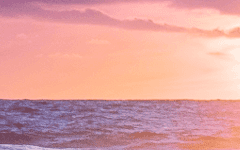 에테웨르토에게.