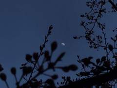 [창준동재] 임신튀