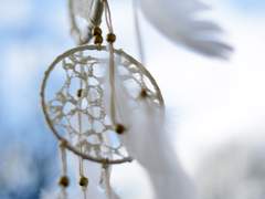 드림주 이름의 유래: 러브와 송연