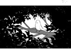 Canary out of the cage