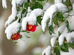 [국민] 두 개의 달이 뜨는 밤 14