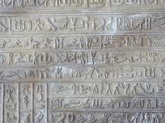 카네아 나틸 리데르티