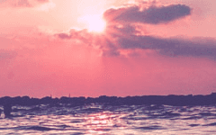 눈부심을 마주하지 못하는 자여,