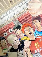 하이큐 드림 시리즈