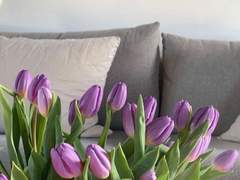 [단편] 사무치게 그리운