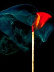 악귀 ; 쪽동백나무