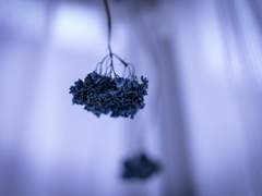 빈 노트의 기억