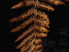 죄 없는 자 만이 실을 끊으라