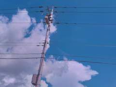 꽃향기에 파묻힌 별