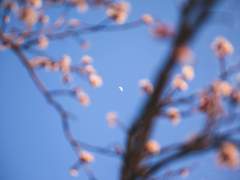 出必告之 反必面之