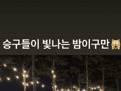 [뮤쾌]수호토끼