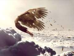 가린 햇빛이 눈을 비춰올 때