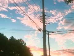 21st Jan. 스키즈 Han의 논란에 대해.