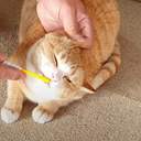 헐이건진짜대박이다