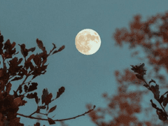 이제는 우리 사이에